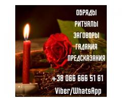 Снятие порчи Киев. Гадание в Киеве. Помощь целительницы Киев.