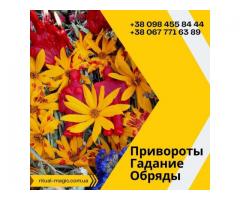 Привлечение богатства и успеха. Магическая помощь Днепр.