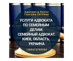 Юридическая помощь в Киеве.